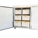 Проращиватель семян, бобов, злаков BSC-60A Foodatlas