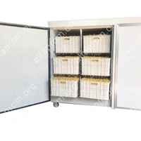 Проращиватель семян, бобов, злаков BSC-60A Foodatlas